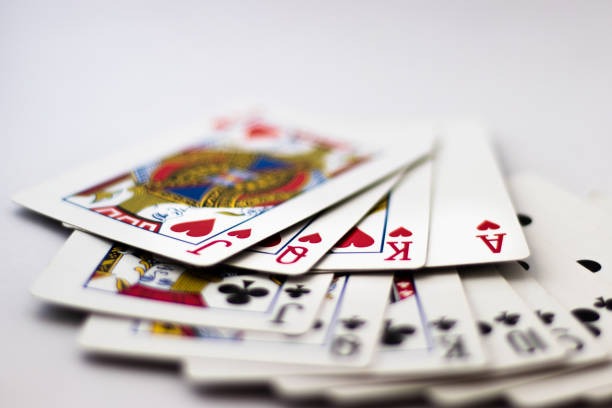 togel ex What Our Live Tables Offer